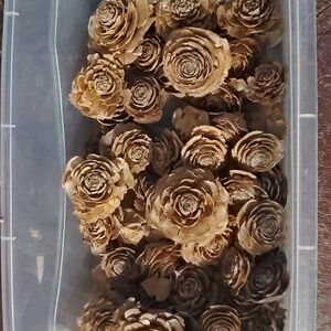 Pinecone Roses